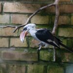 Ders Notları: Fen Bilimleri Laboratuvar Günlüğü Şablonu