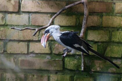 Ders Notları: Fen Bilimleri Laboratuvar Günlüğü Şablonu